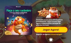 bdok com